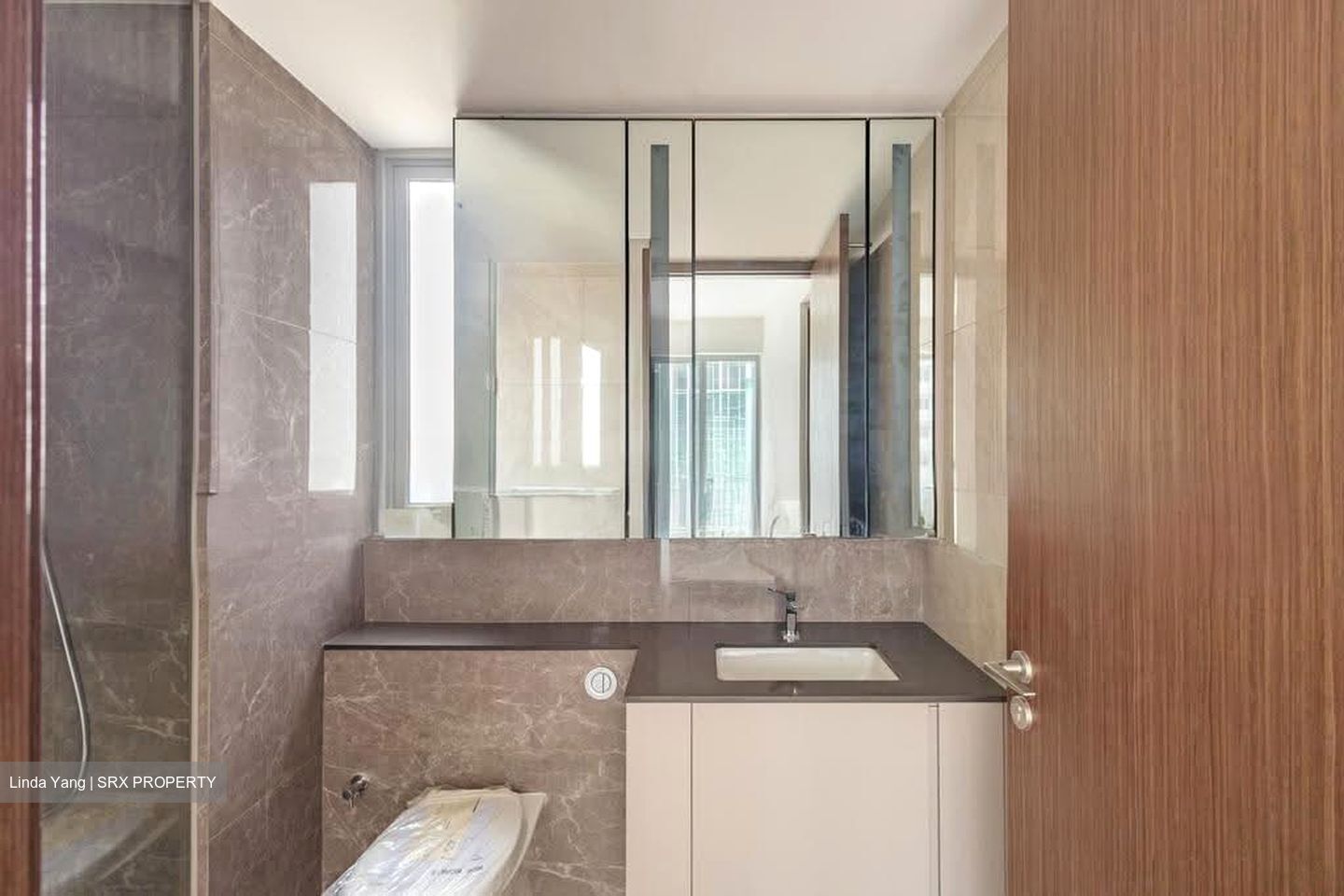 Grand Dunman (D15), Apartment #629868661